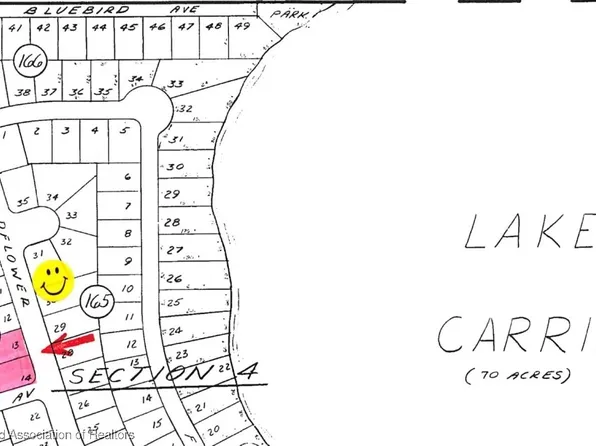 1040 Wildflower St, Lake Placid, FL 33852