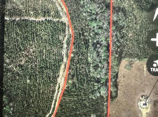 0 Ball Park Rd, Mc Henry, MS 39561