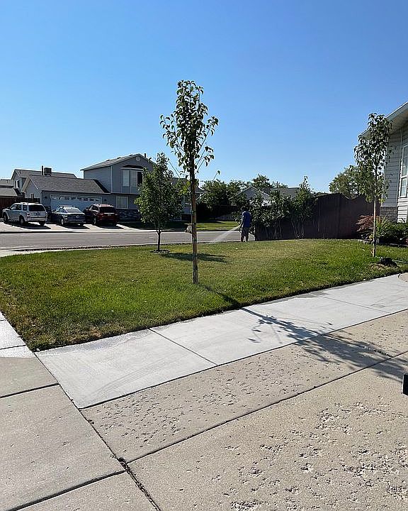 New sidewalk and many trees