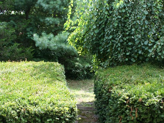Front Path from Front Porch