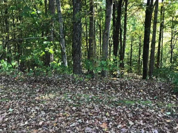 LOT 5 Elem St, Chilhowie, VA 24319