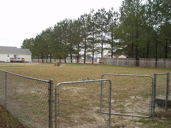 Back yard (Winter)