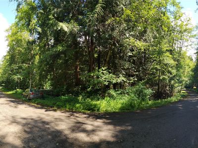 0 N Olympic Trails Drive, Lilliwaup, WA, 98555