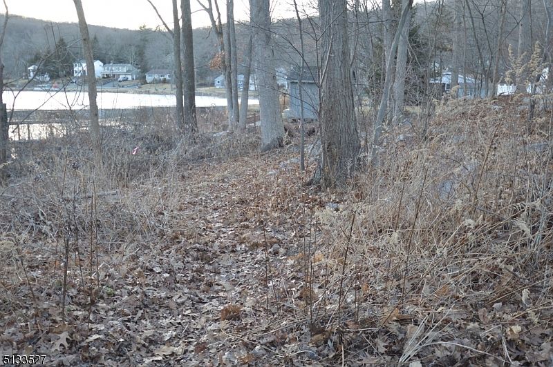 1st image of 31 Oslo Dr