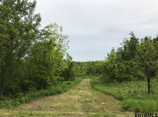 82 Craver Rd, West Sand Lake, NY 12196