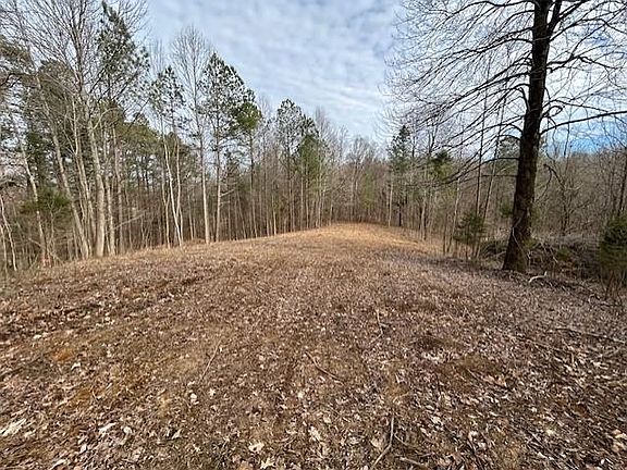4th image of 938 Kassinger Ln