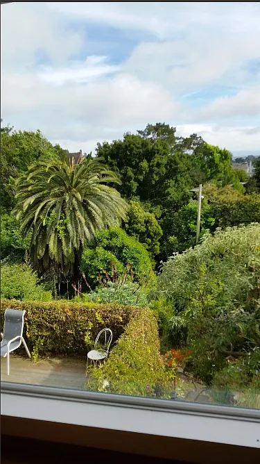 1 bed, 1200 sqft, $2,450 — Photo 2