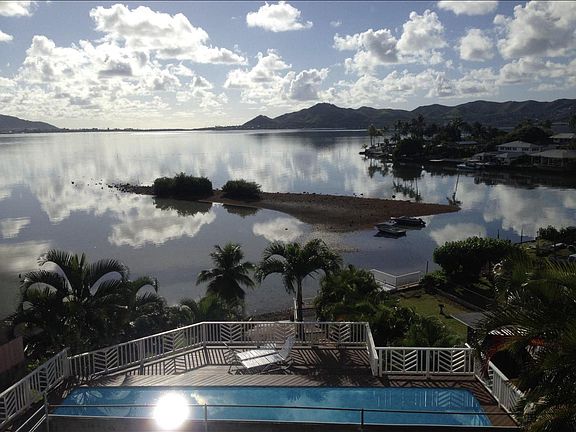 Eveningtime you can hear the birds returning to their home in the mangrove island_so peaceful!
