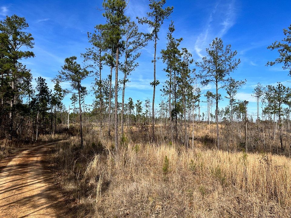 Great Frontage Along Longhills Road