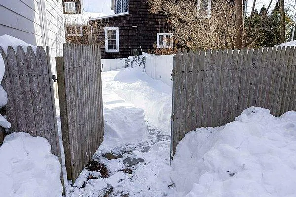 62 Roseneath Ave — Photo 37