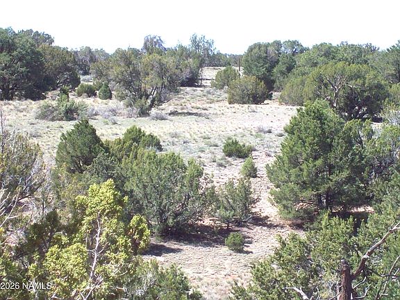 2nd image of 1432 S Kaibab Rd