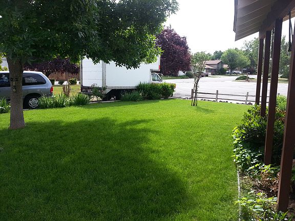 Front side yard