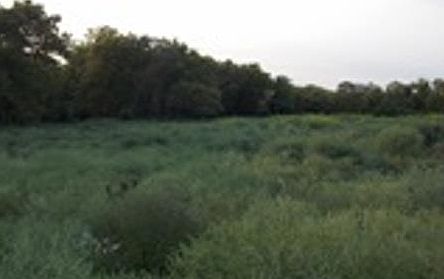 1st image of 1571 SE Tobin Valley Dr