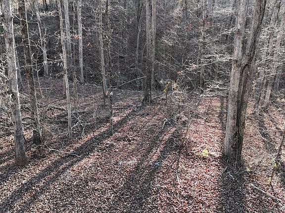 4th image of 151 Sandy Springs Dr
