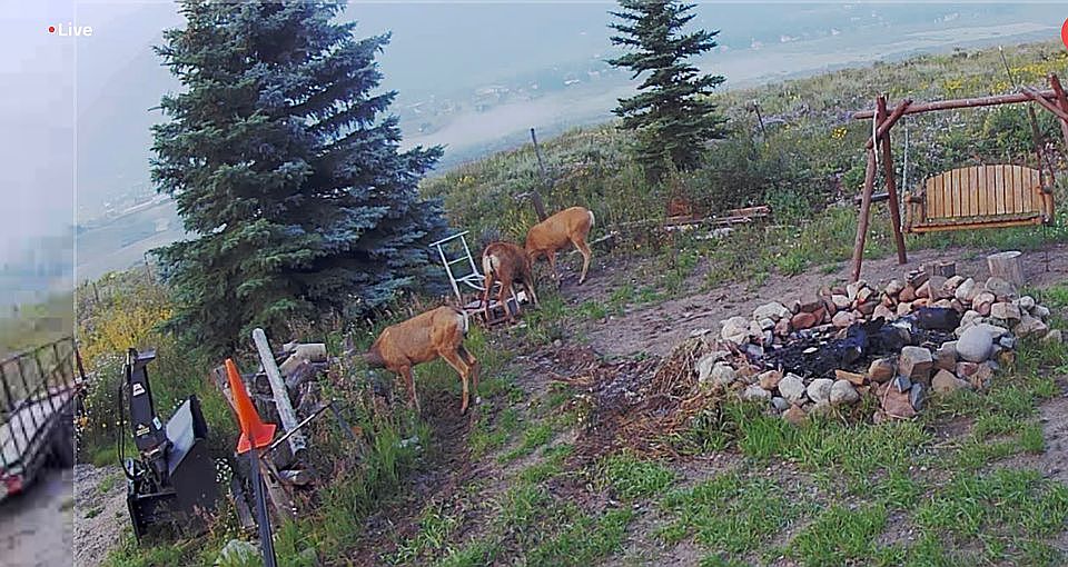 1st image of 1071 County Road 317