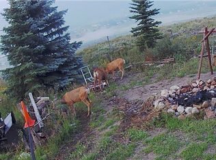 1071 County Road 317, Crested Butte, CO 81224