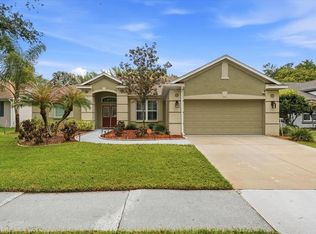 2214 Longmore Cir, Valrico, FL 33596