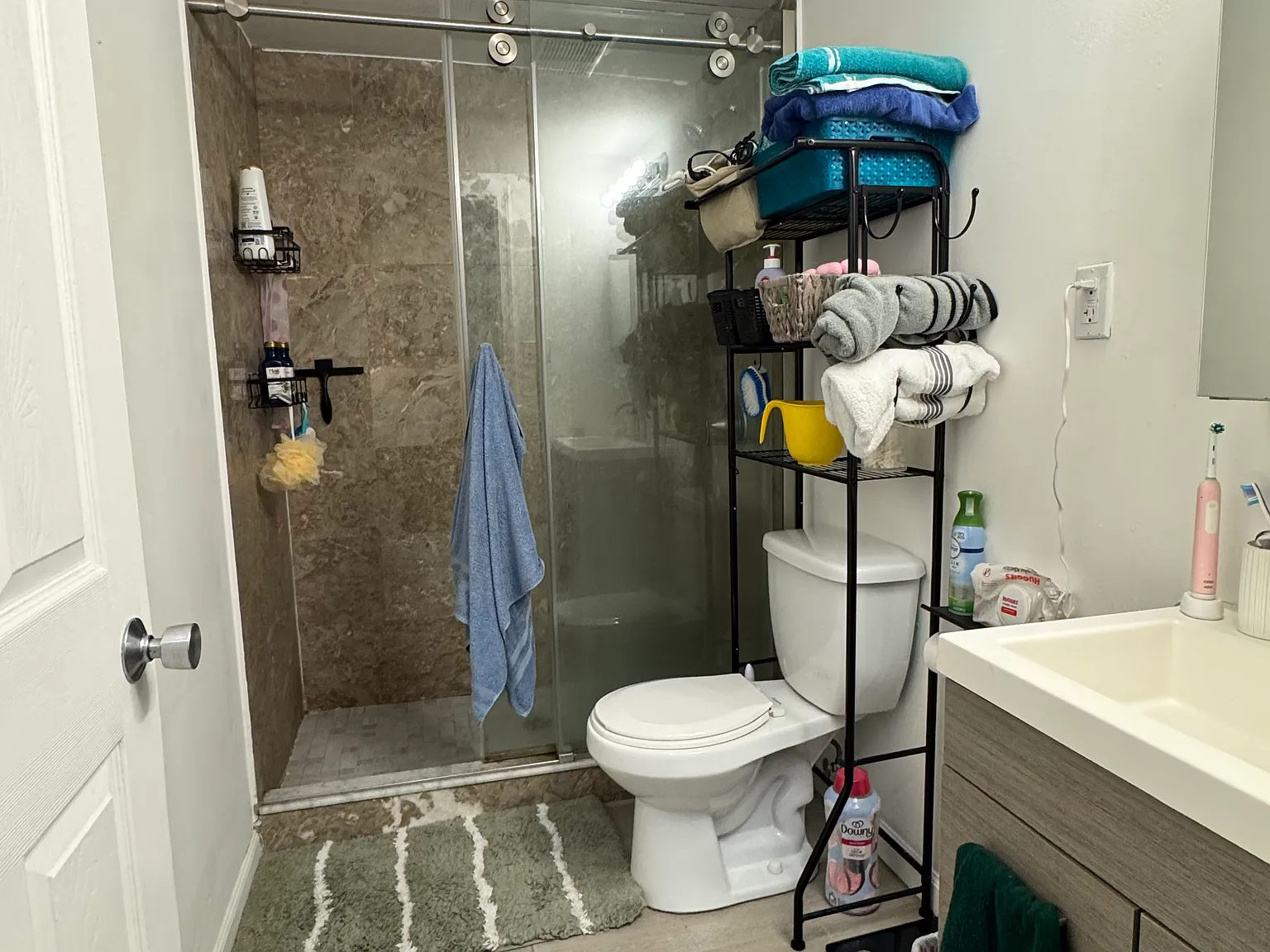 2 bed, 700 sqft, $1,700 — Photo 4
