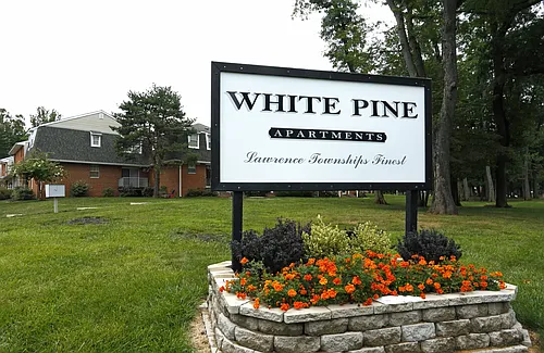 White Pine Apartments Photo 1
