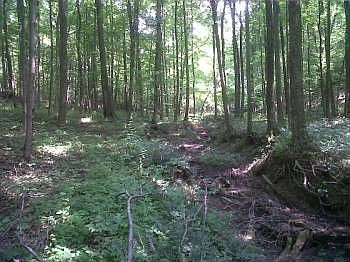 4th image of 3035 Township Road 40 NE