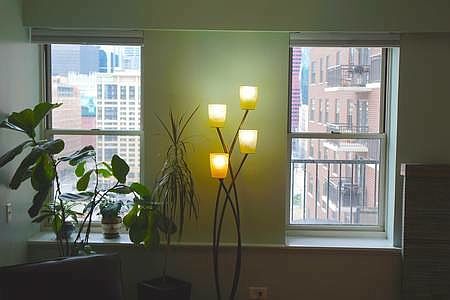 3rd image of 2945 Pacific Ave APT 4