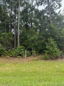 NE County Road 67, Hosford, FL, 32334