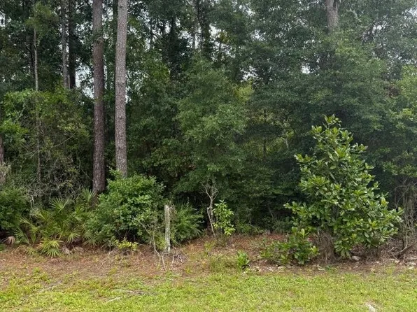 NE County Road 67, Hosford, FL 32334