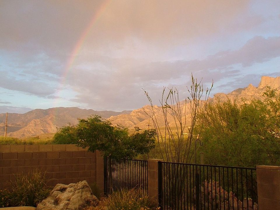 Back Yard View
