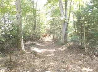 119 Gunsmoke Hollow Rd, Elizabethton, TN 37643