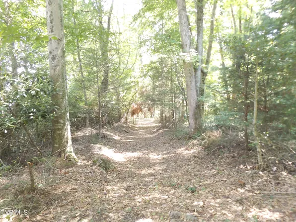 119 Gunsmoke Hollow Rd, Elizabethton, TN 37643