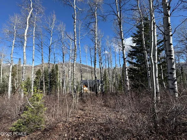 663 Red Fir Way #663, Oakley, UT 84055