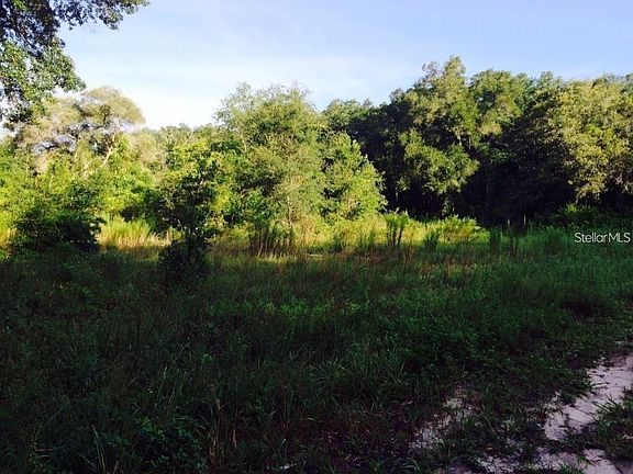 5th image of 111 Frederick St