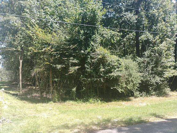 2nd image of 0 Magnolia Ln