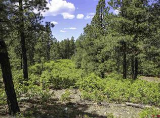 96 Lake View Cir, Bayfield, CO 81122