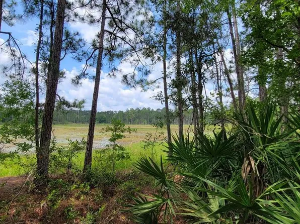 0 NE 122nd Pl, Bronson, FL 32621