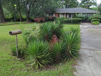 828 W Madison Ave, Ashburn, GA, 31714