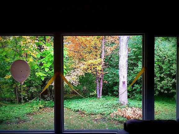 Living room windows