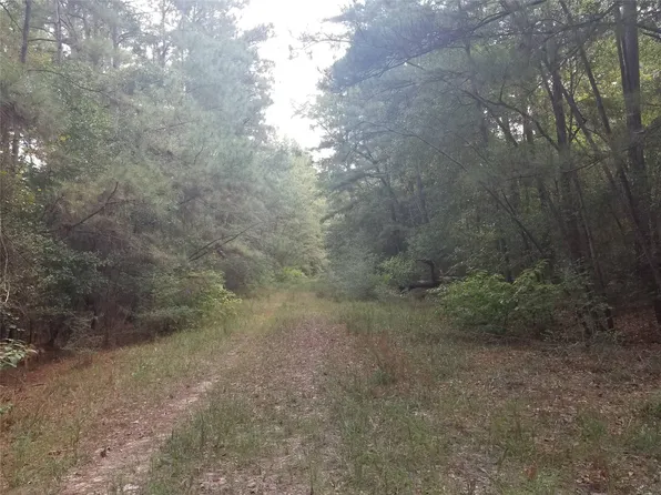 R16902 Medicine Man Cir, Hempstead, TX 77445