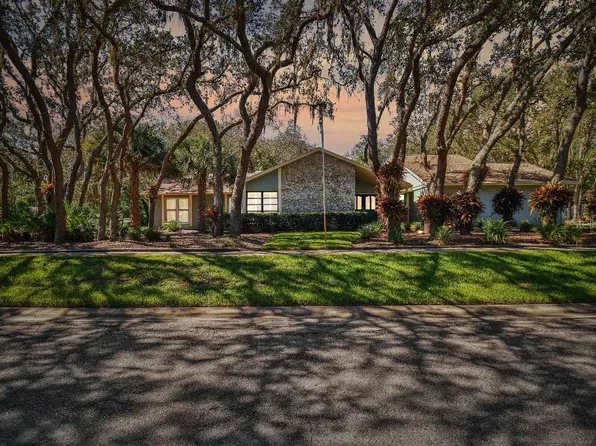 2515 Regal Oaks Ln, Lutz, FL 33559