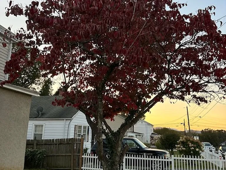 2013 Early St — Photo 23