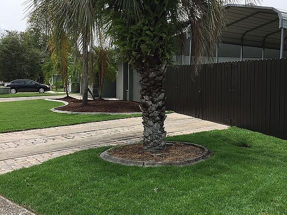 5th image of 763 Spicewood Dr