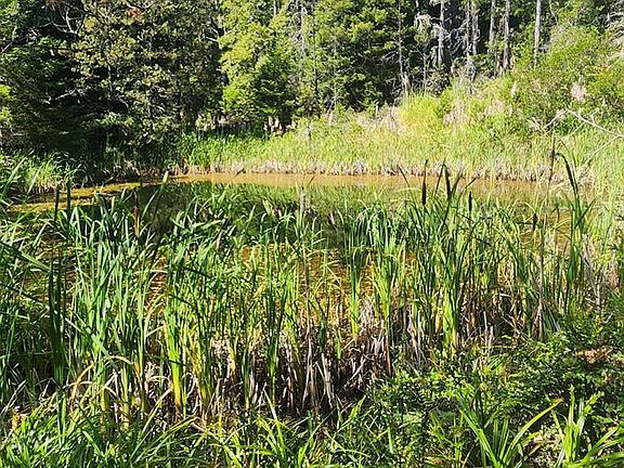 2nd image of 45942 Zettler Road