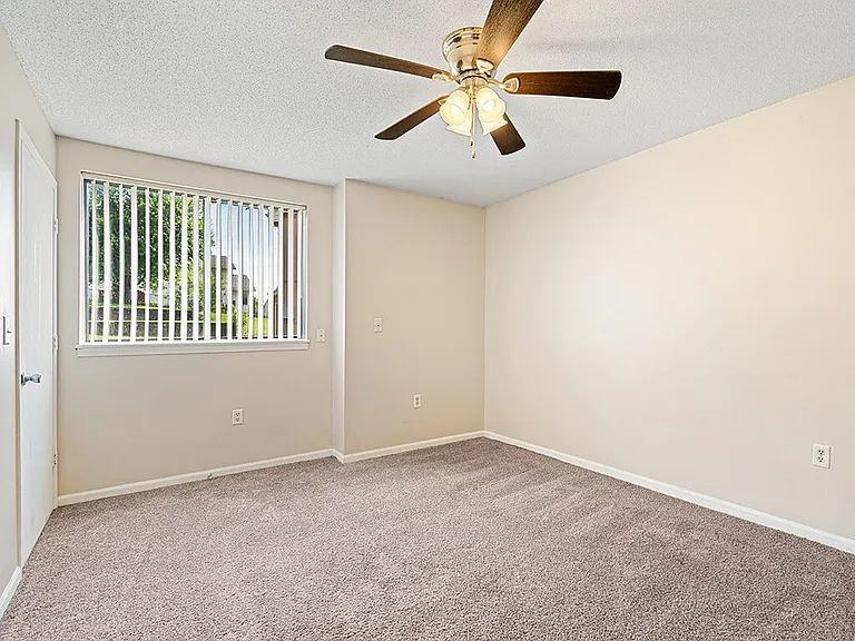 Cozy, Plush Carpeting