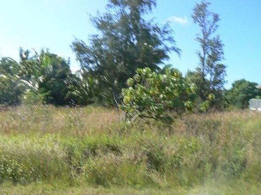 1st image of Kapohanalu St