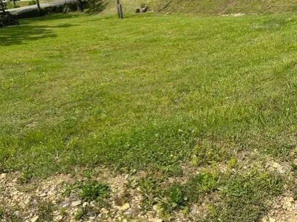 624 Taylor Ave, Park Hills, MO 63601