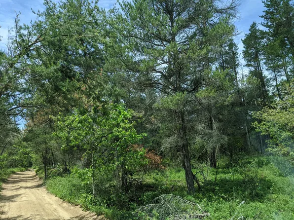 E Timber Trl, Grayling, MI 49738