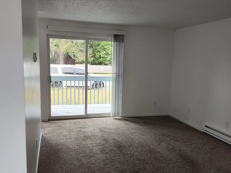 Living room to private deck with storage closet