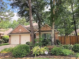 14 Tethered Vine Pl, Spring, TX 77382