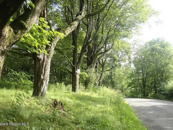 Tbd Henry Road, Cragsmoor, NY 12420