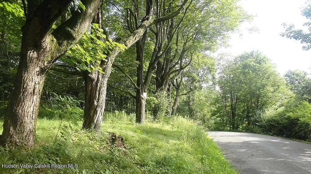 Tbd Henry Road photo 1